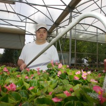 Young man uses a sprayer to water flowers in a greenhouse
