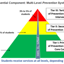 Tri colored pyramid depicting levels of intervention