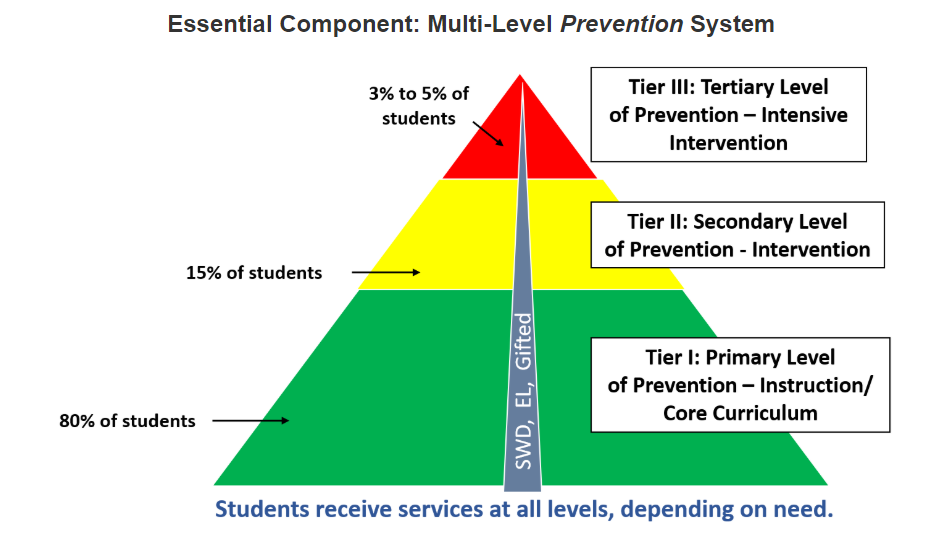 Mtss Template