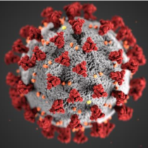 Caption: This illustration, created at the Centers for Disease Control and Prevention (CDC), reveals ultrastructural morphology exhibited by coronaviruses. Note the spikes that adorn the outer surface of the virus, which impart the look of a corona surrounding the virion, when viewed electron microscopically. A novel coronavirus, named Severe Acute Respiratory Syndrome coronavirus 2 (SARS-CoV-2), was identified as the cause of an outbreak of respiratory illness first detected in Wuhan, China in 2019. The illness caused by this virus has been named coronavirus disease 2019 (COVID-19).